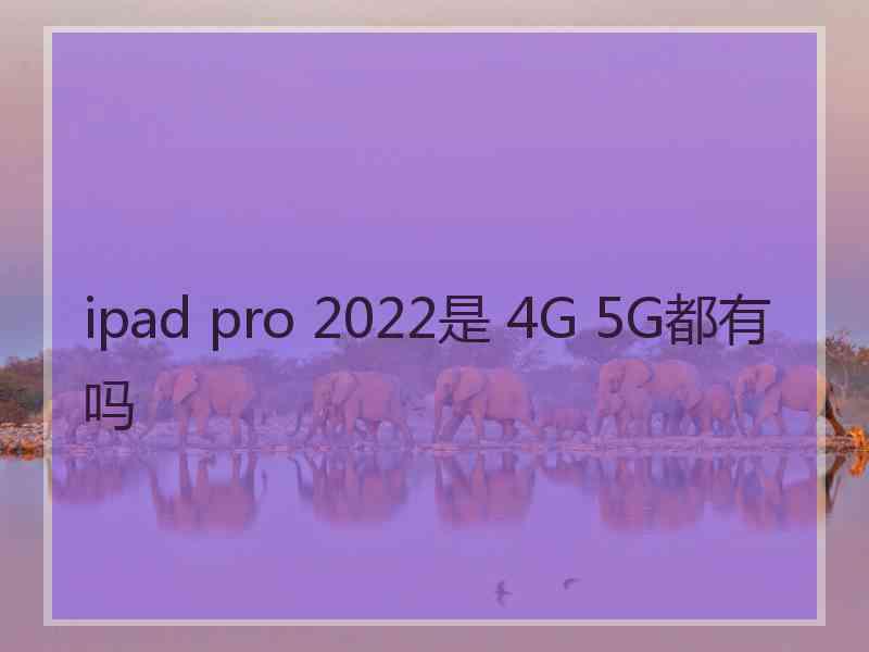 ipad pro 2022是 4G 5G都有吗