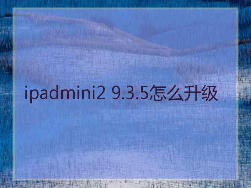 ipadmini2 9.3.5怎么升级