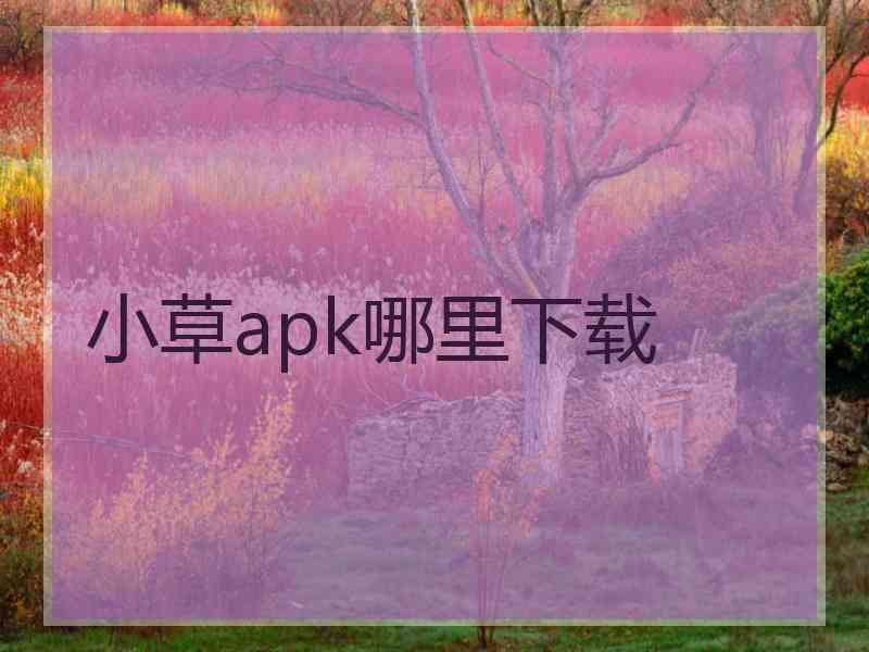 小草apk哪里下载