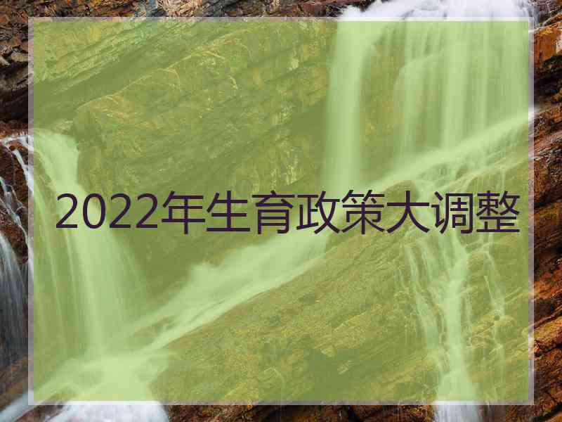 2022年生育政策大调整