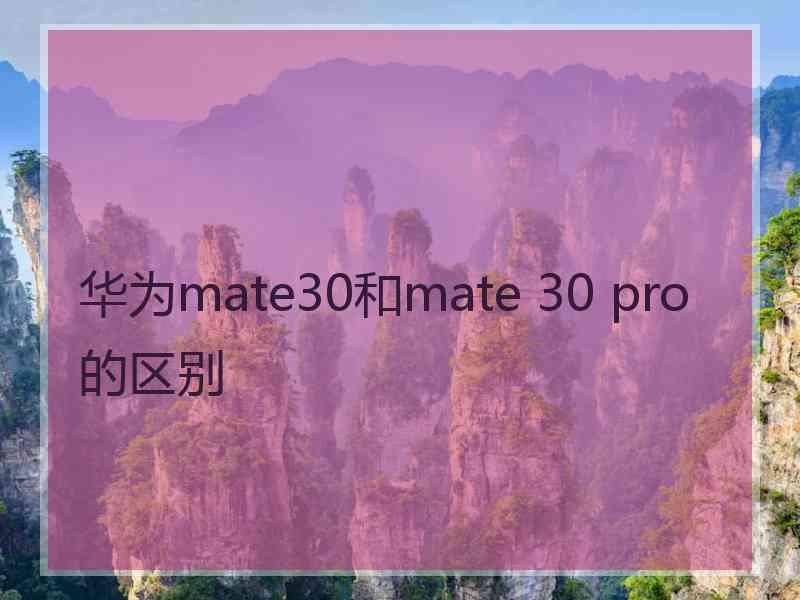 华为mate30和mate 30 pro的区别