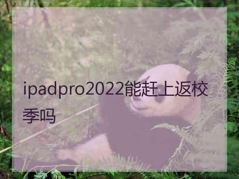 ipadpro2022能赶上返校季吗