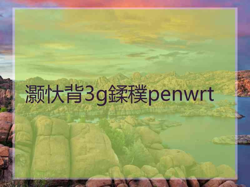 灏忕背3g鍒穙penwrt