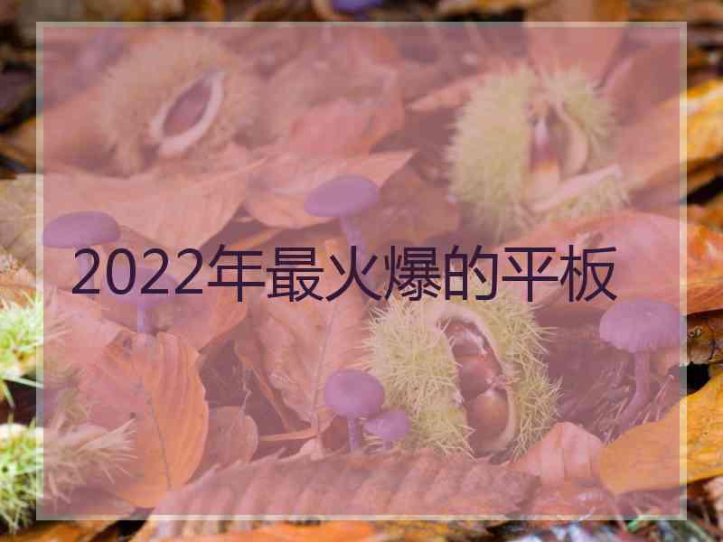 2022年最火爆的平板