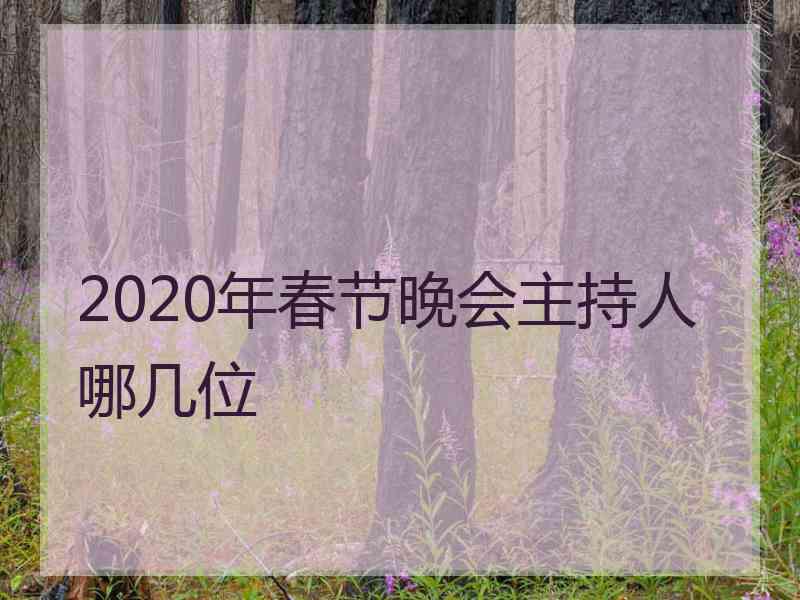 2020年春节晚会主持人哪几位