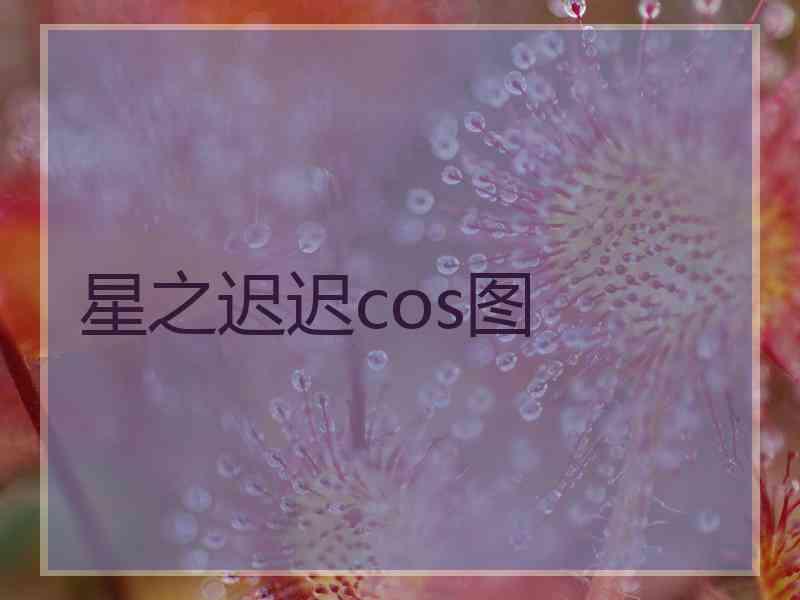 星之迟迟cos图