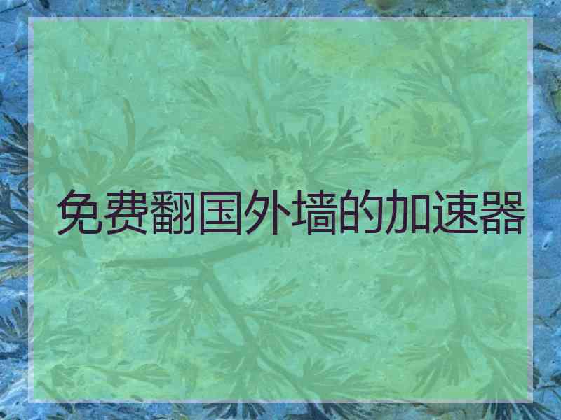 免费翻国外墙的加速器