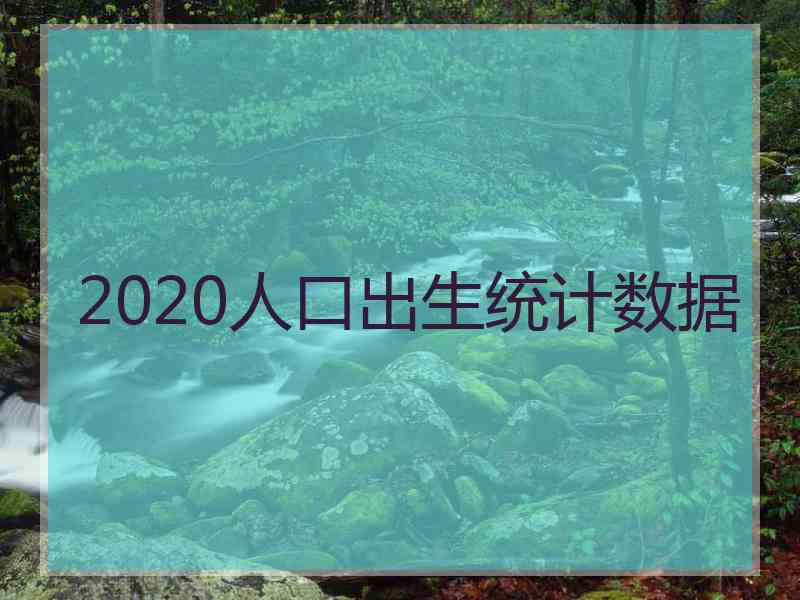 2020人口出生统计数据