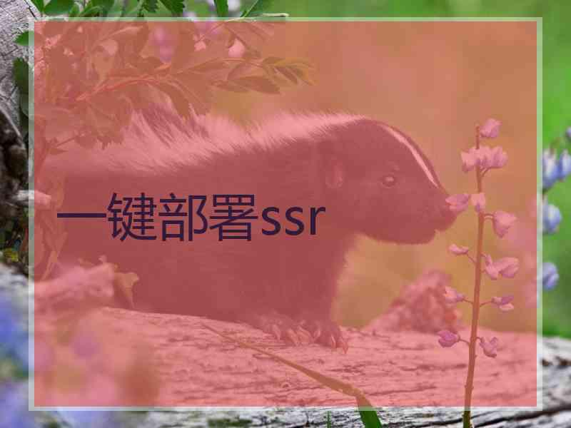 一键部署ssr