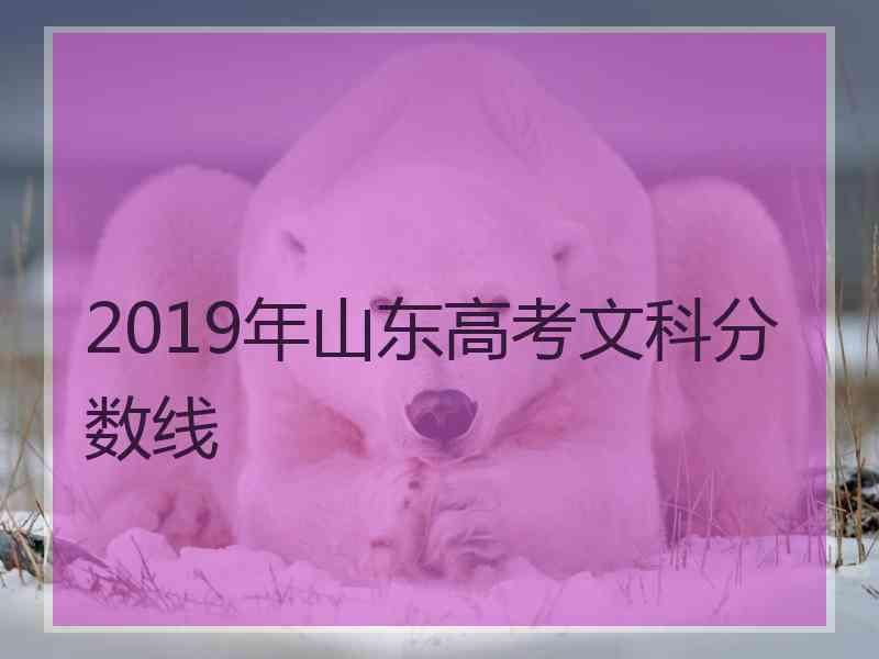 2019年山东高考文科分数线