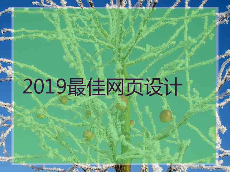 2019最佳网页设计