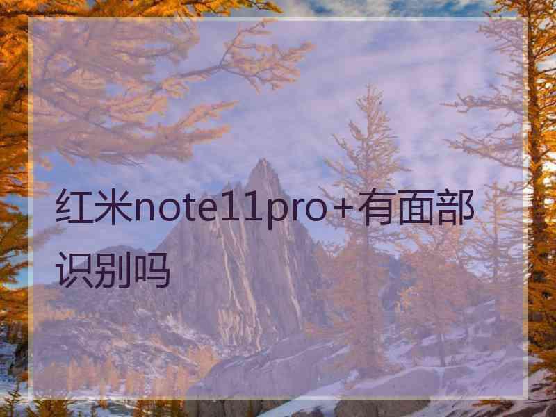 红米note11pro+有面部识别吗