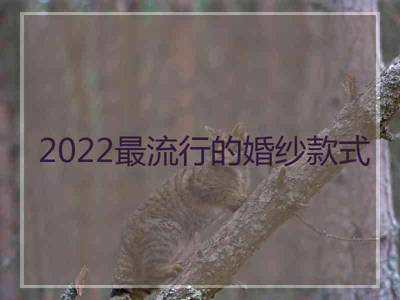 2022最流行的婚纱款式