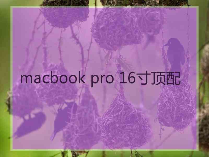 macbook pro 16寸顶配