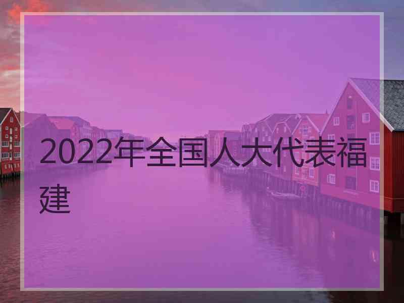 2022年全国人大代表福建