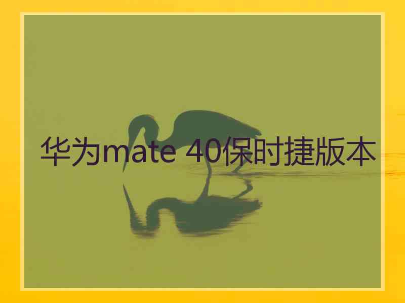 华为mate 40保时捷版本