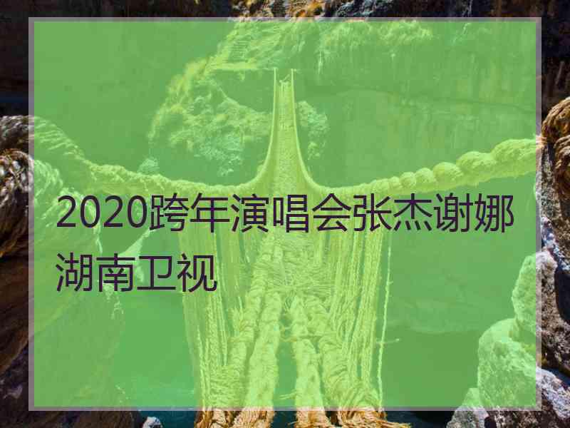 2020跨年演唱会张杰谢娜湖南卫视