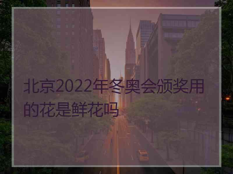 北京2022年冬奥会颁奖用的花是鲜花吗