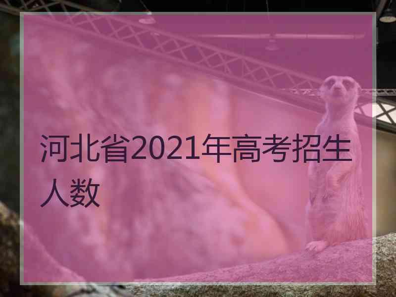 河北省2021年高考招生人数