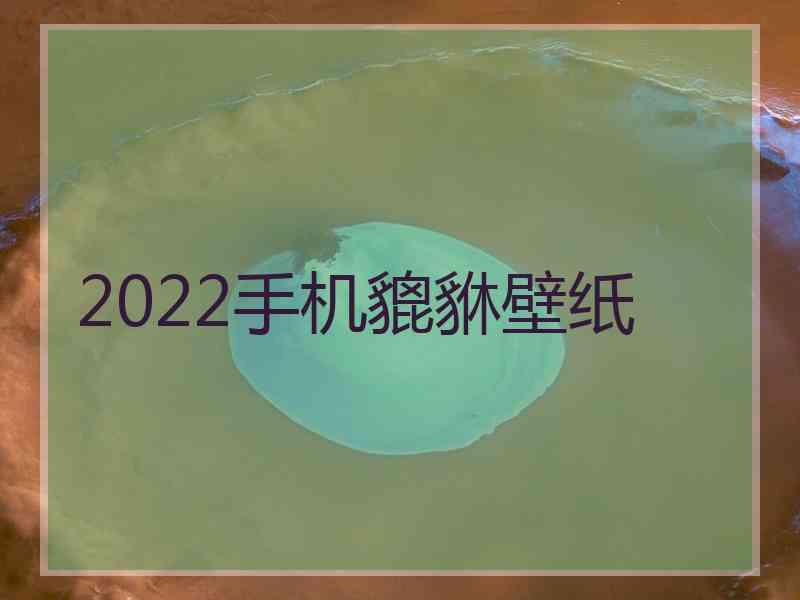 2022手机貔貅壁纸