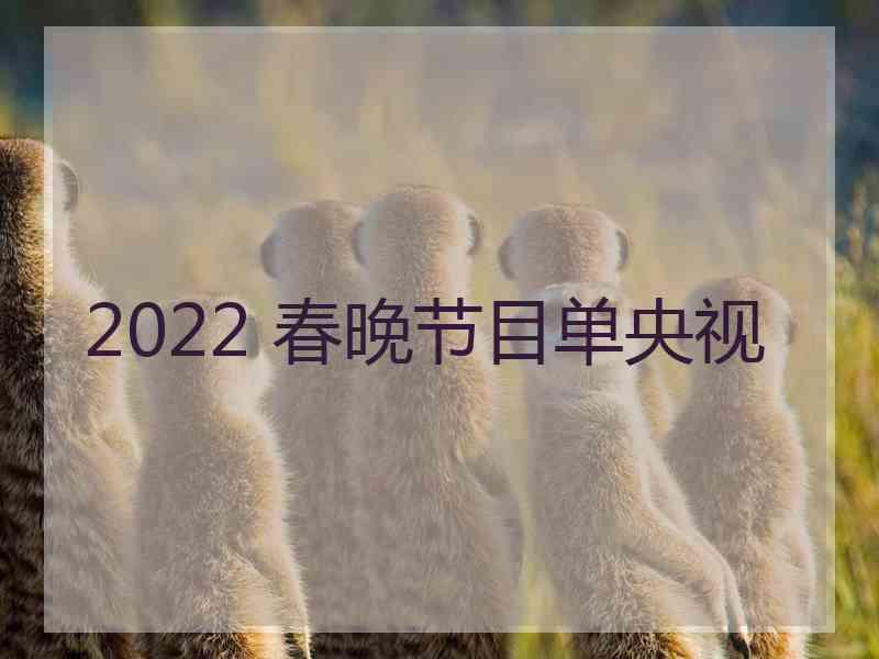 2022 春晚节目单央视