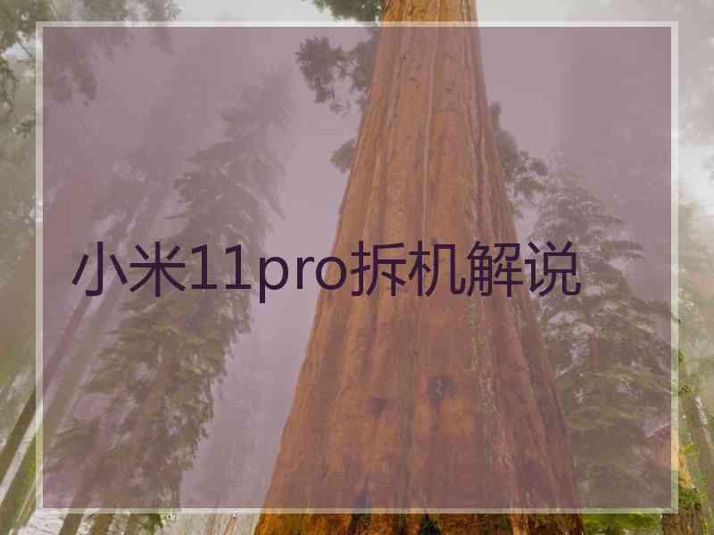 小米11pro拆机解说