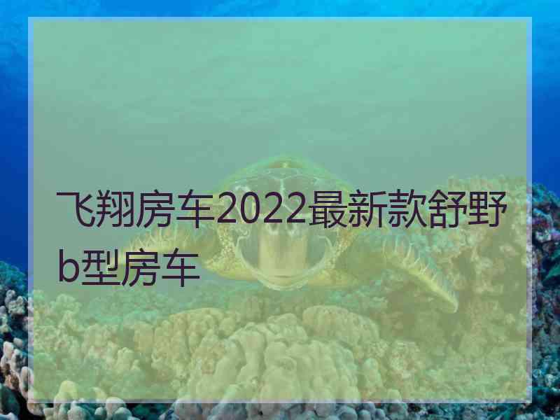 飞翔房车2022最新款舒野b型房车