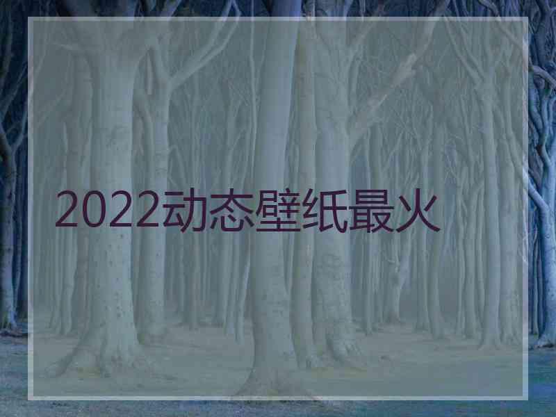 2022动态壁纸最火