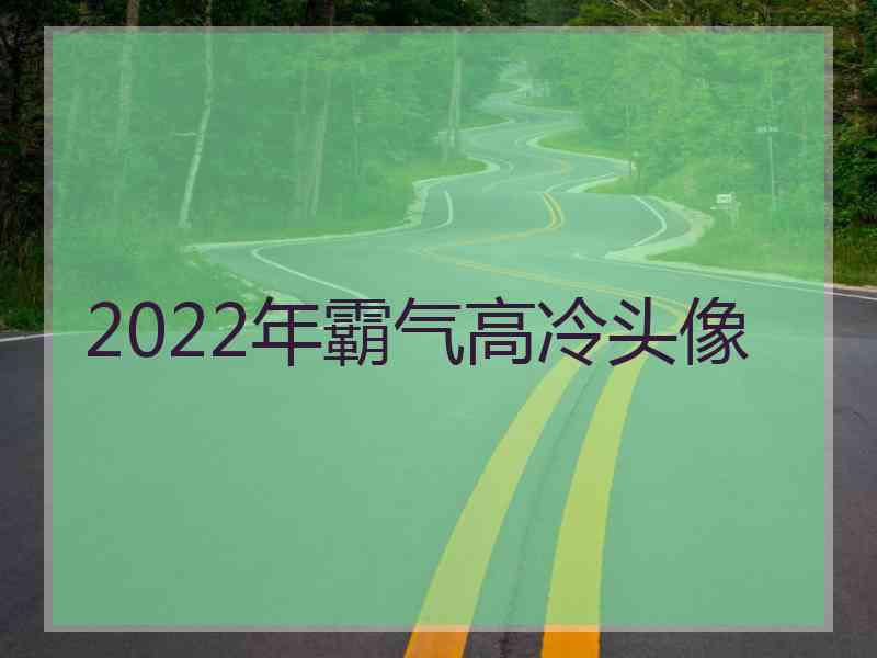 2022年霸气高冷头像