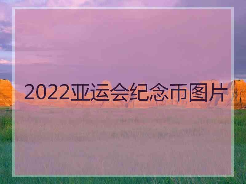 2022亚运会纪念币图片