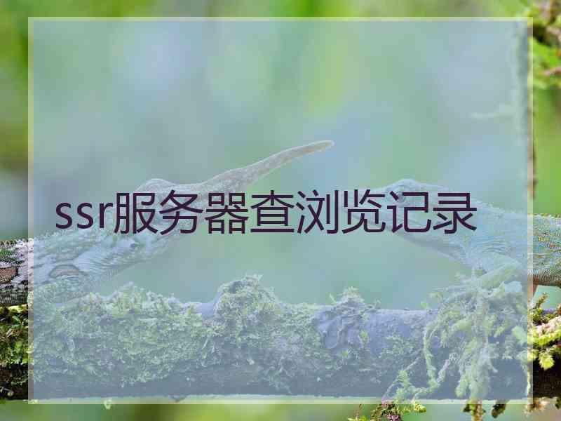 ssr服务器查浏览记录