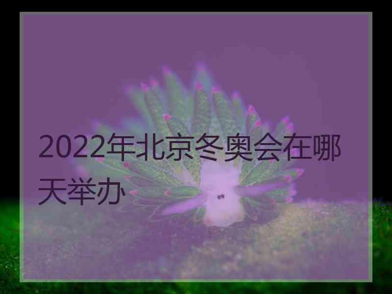 2022年北京冬奥会在哪天举办