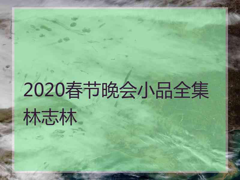 2020春节晚会小品全集林志林