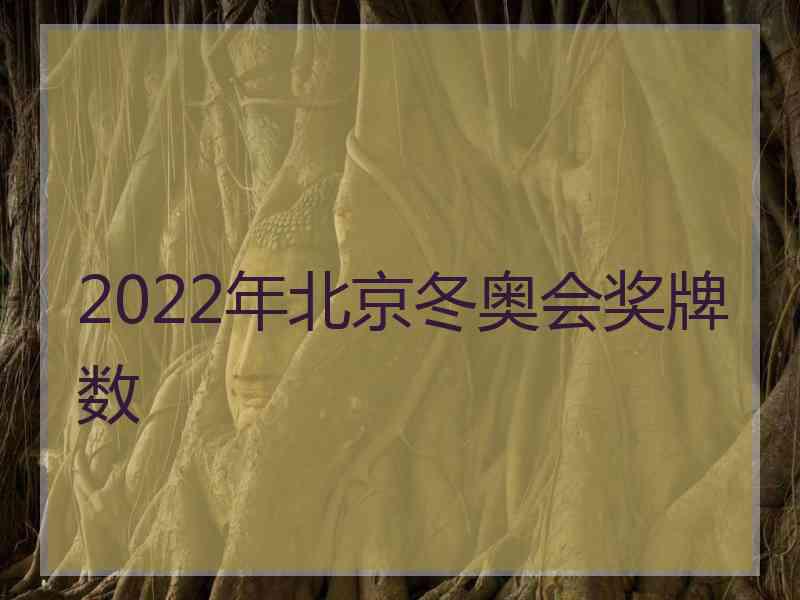 2022年北京冬奥会奖牌数