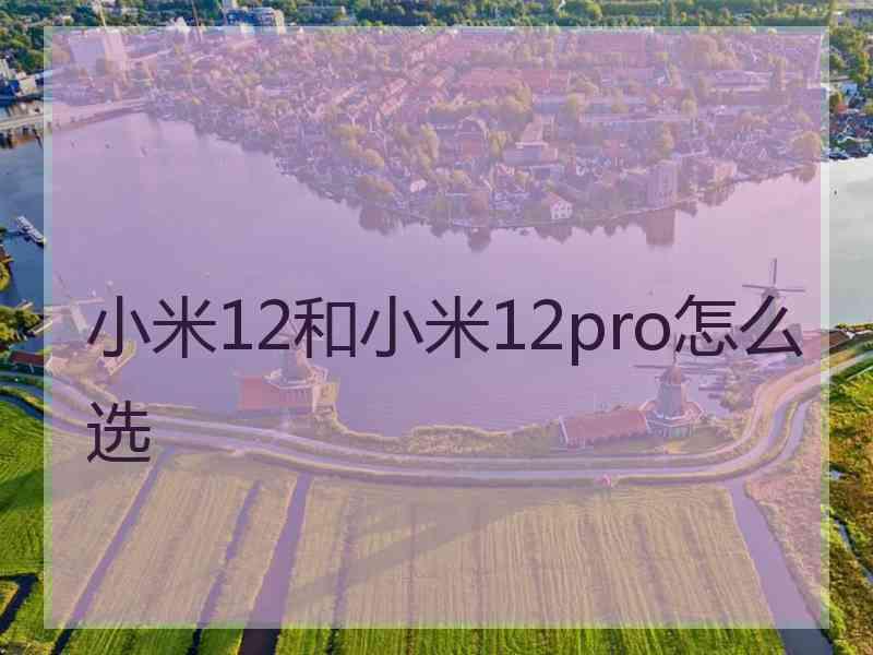 小米12和小米12pro怎么选