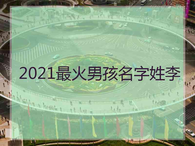 2021最火男孩名字姓李