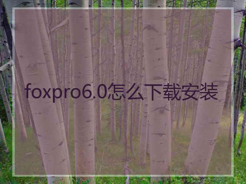 foxpro6.0怎么下载安装