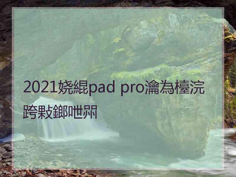 2021娆緄pad pro瀹為檯浣跨敤鎯呭喌