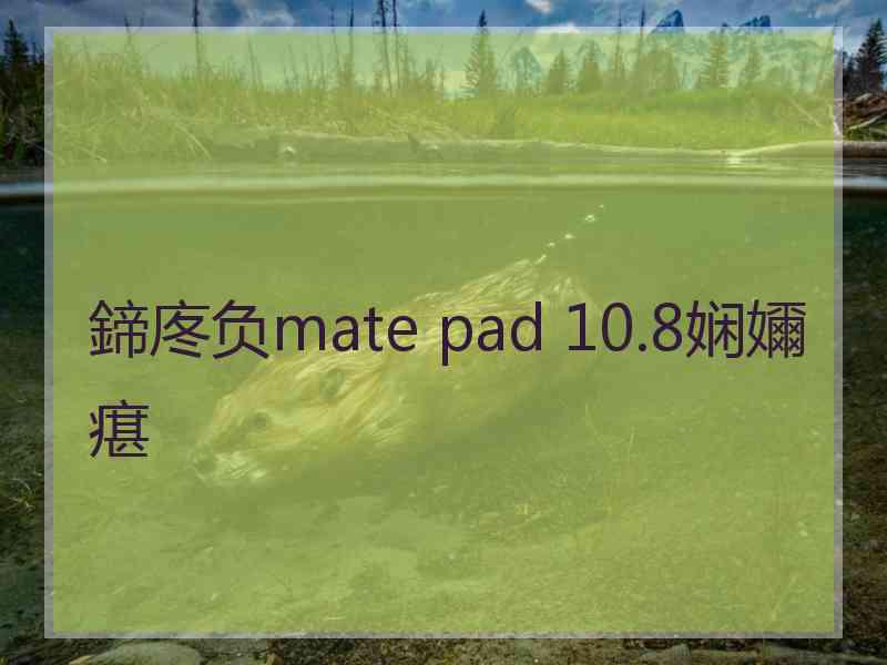 鍗庝负mate pad 10.8娴嬭瘎