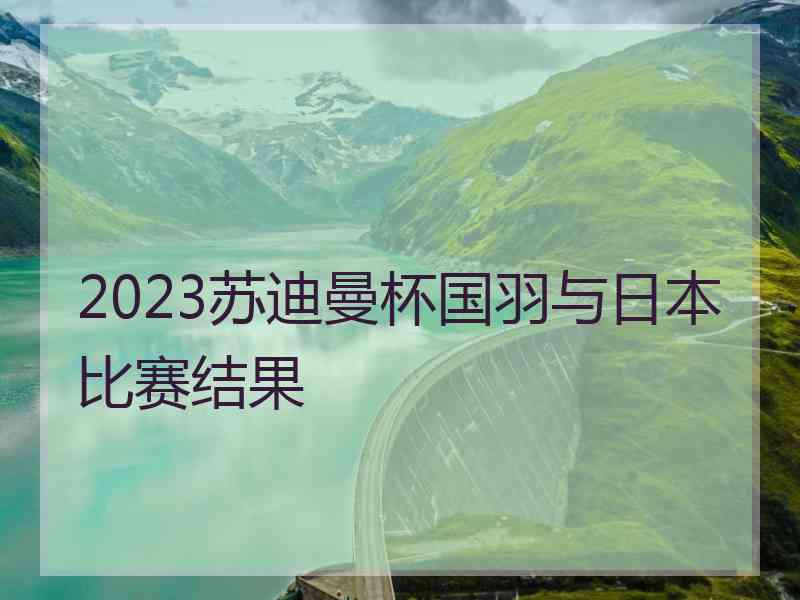 2023苏迪曼杯国羽与日本比赛结果