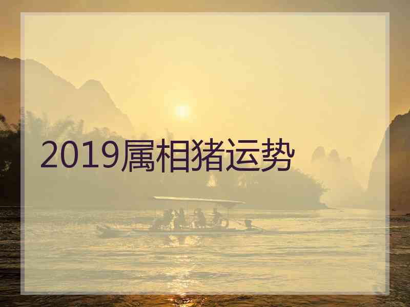 2019属相猪运势