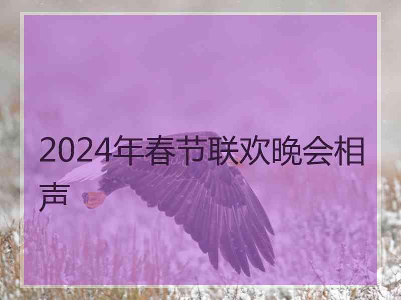 2024年春节联欢晚会相声