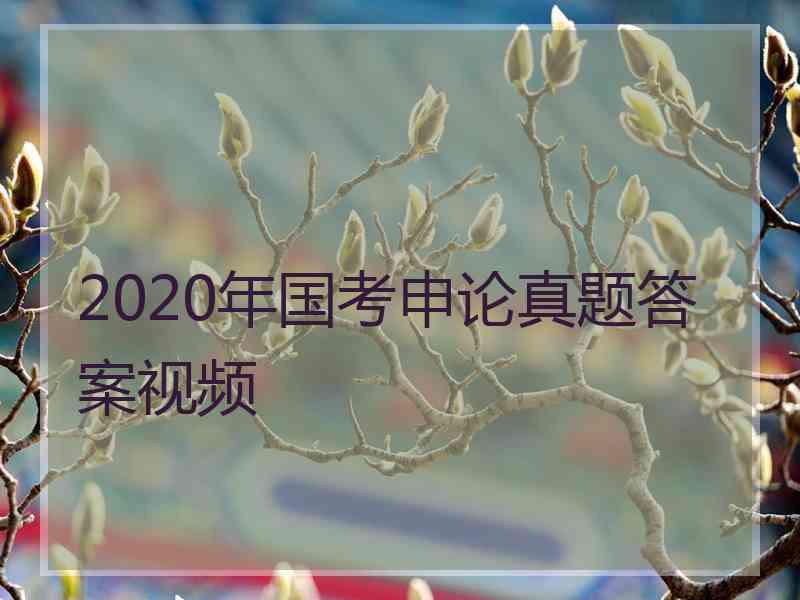 2020年国考申论真题答案视频