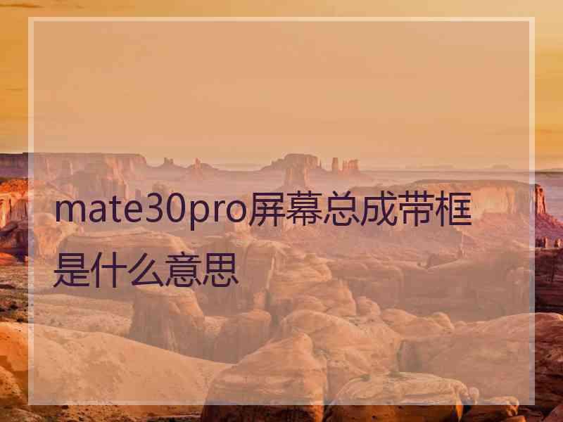 mate30pro屏幕总成带框是什么意思