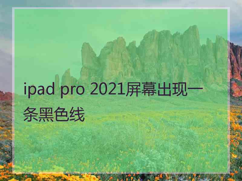 ipad pro 2021屏幕出现一条黑色线