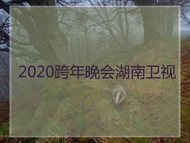 2020跨年晚会湖南卫视