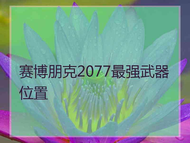 赛博朋克2077最强武器位置