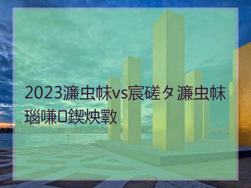 2023濂虫帓vs宸磋タ濂虫帓瑙嗛鍥炴斁