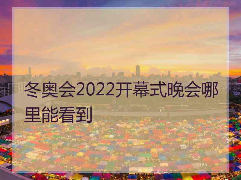 冬奥会2022开幕式晚会哪里能看到