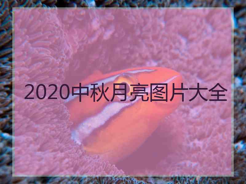 2020中秋月亮图片大全